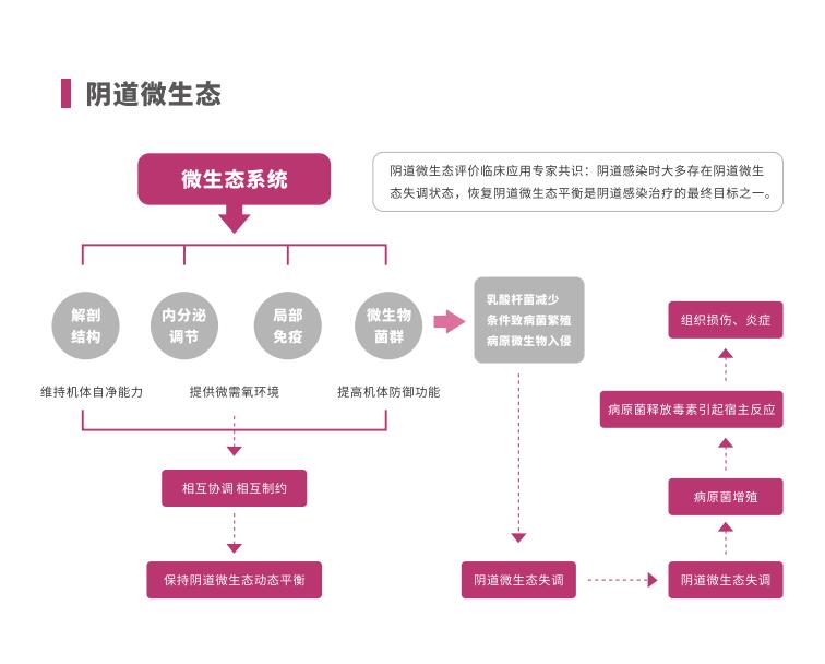 全自动阴道炎香蕉国产精品LTS-V400阴道微生态系统